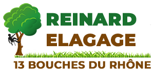 elagage-reinard-elagage