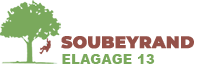 elagage-soubeyrand-elagage-13